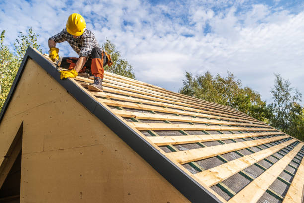 Best Roof Gutter Cleaning  in Aquia Harbour, VA